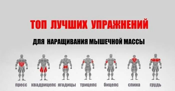 Тренировка для роста массы. Упражнения для мышечной массы. упражнения для набора мышц. упражнения для набирания мышечной массы. базовые тренировки для набора мышечную массу.