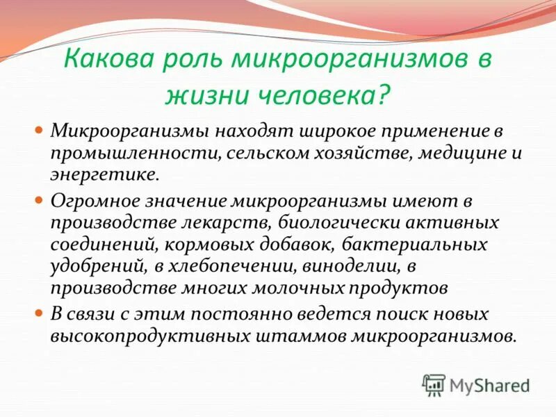 Сообщение о значении бактерий. Роль микроорганизмов в жизни человека. Роль микроорганизмов в жизни человека и общества. Какова роль микроорганизмов в жизни человека. Роль микробиологии в жизни человека.