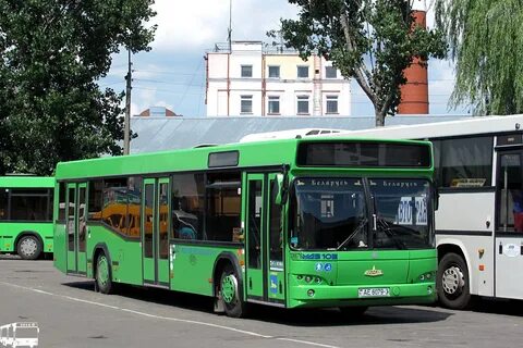 Автовокзал гомель автобусов