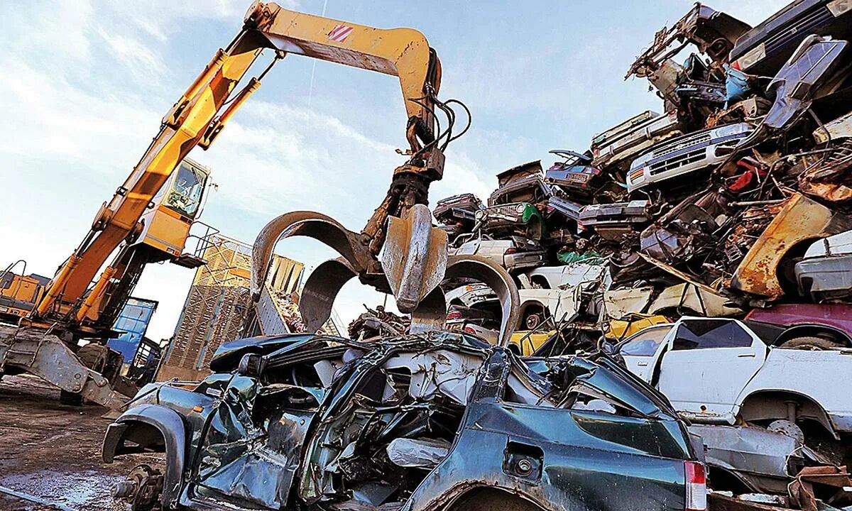 Утильсбор август. Утильсбор август