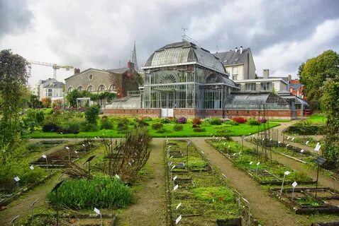 Le jardin des larmes