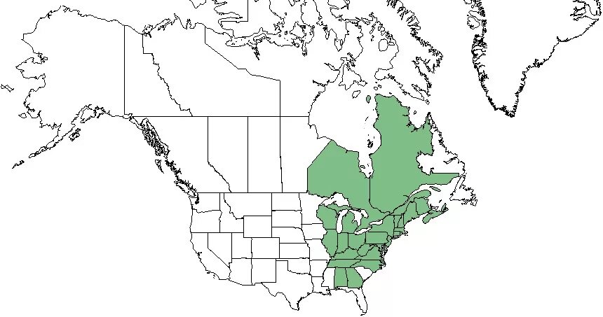 Племена индейцев на карте америки. Ареалы видов ели северной америки. Индейцы америки карта расселения. Ареалы северной америки. Ареалы северной америки.