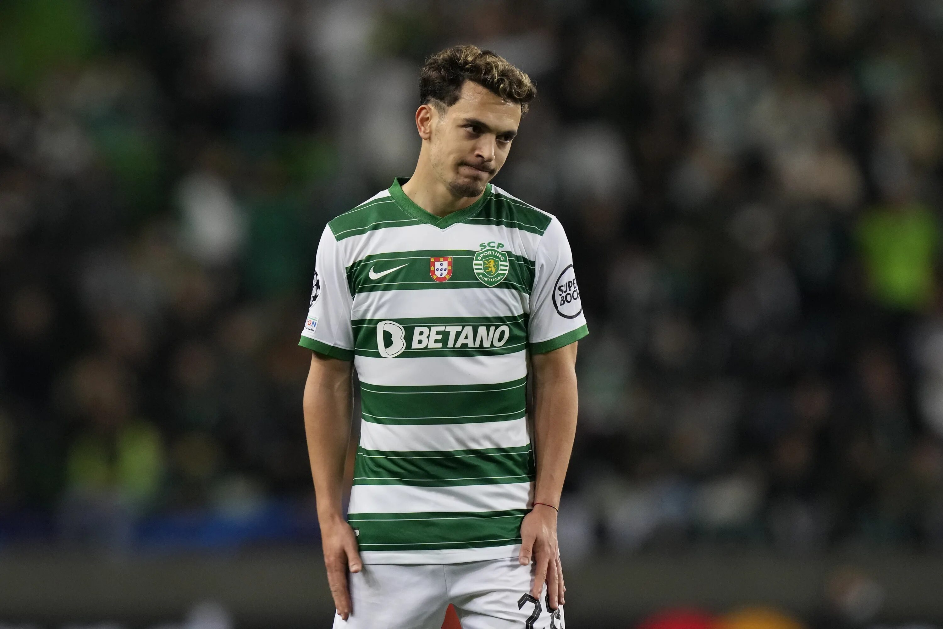 Sporting tv portugal. Стекеленбург аякс. Порту бенфика. Чемпионат португалии спонсор. Италия португалия.