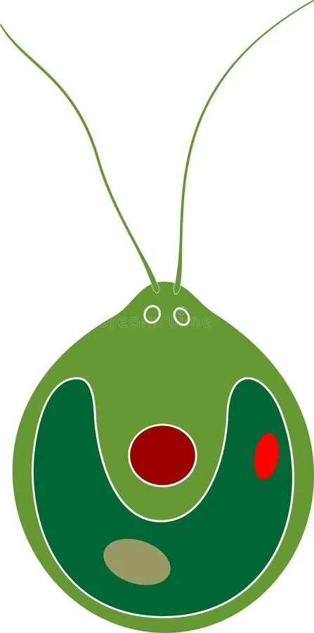 Хотим лимонада мем хламидомонада Development of a synthetic gene expression system in Chlamydomonas reinhardtii -