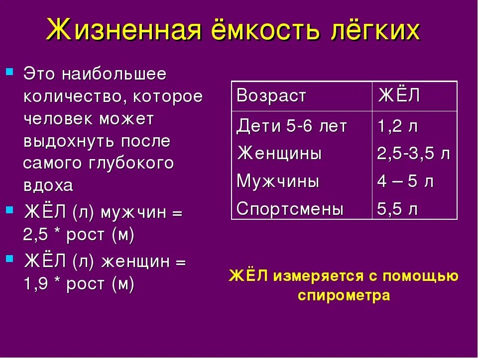 Формула емкости легких. Жизненная емкость легких человека. Жизненная емкость легких у взрослого. Жизненная емкость легких составляет. Исследование жизненной емкости лёгких жел это.