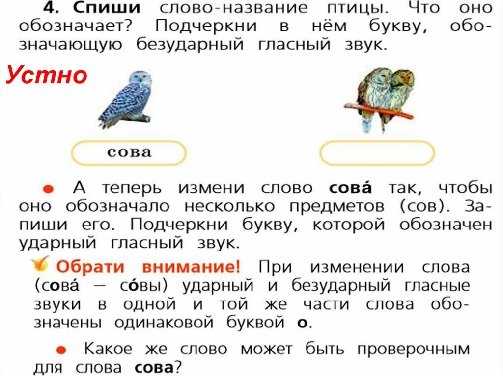 Ударение ударные и безударные гласные. Сова ударение. Слова для постановки ударения 1 класс. Ударение меняет смысл. Неясыть ударение в слове.