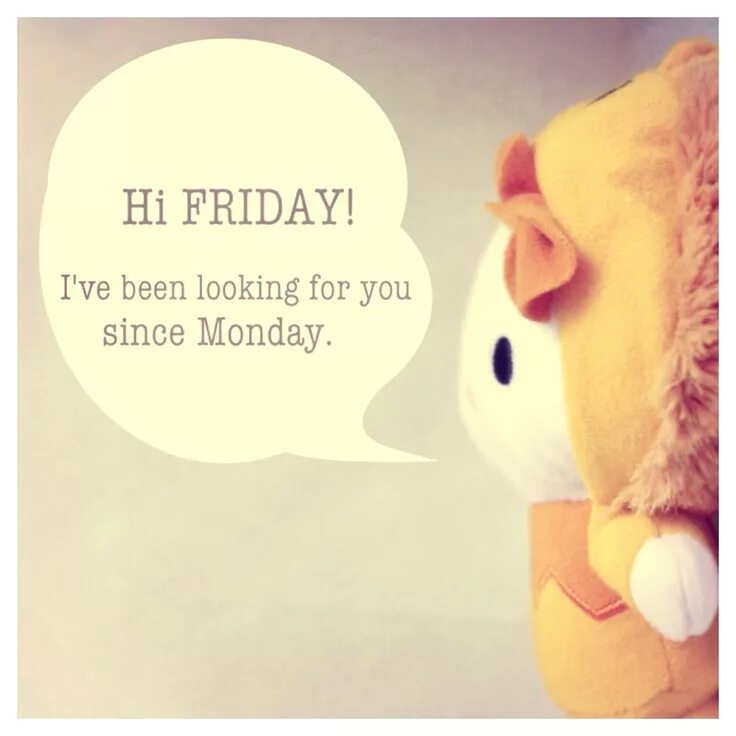The monday is on friday. Friday quotes. quotations about friday. happy friday quotes. как делать get friddy.