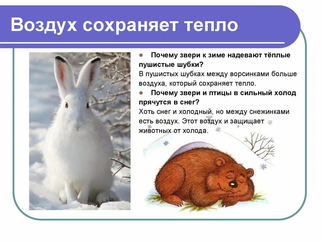 Воздух плохо проводит тепло да или нет. Воздух плохо проводит тепло. как воздух проводит тепло. воздух проводит тепло животные. что плохо проводит тепло.