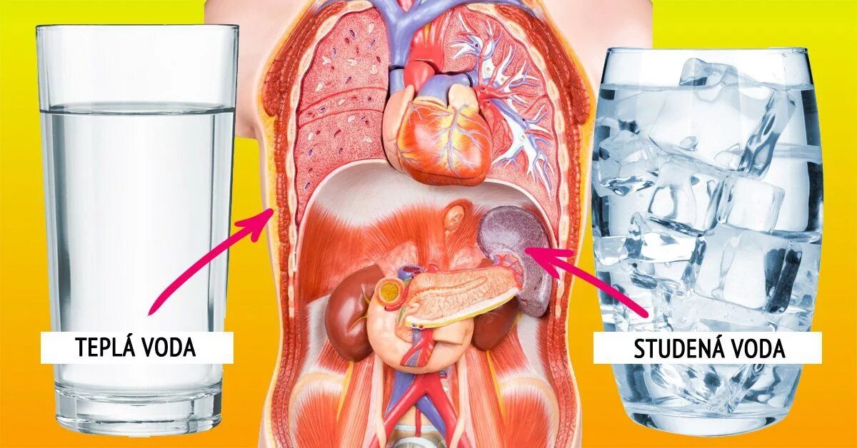 Теплая вода или холодная пить. Какую воду лучше пить теплую или холодную. Пить холодную воду. Какую воду пить. Холодной воды напилась