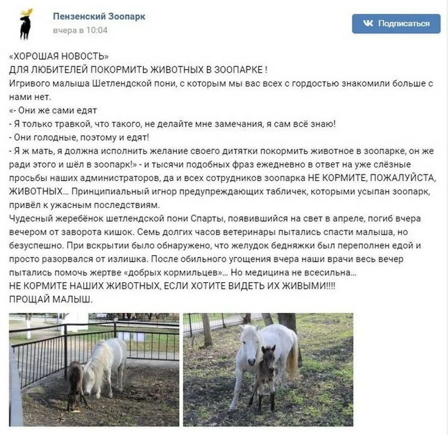 Животные зоосада описание. Проект зоопарка. Животные зоопарка презентация. Рассказ на тему зоопарк. Презентация на тему зоопарк.