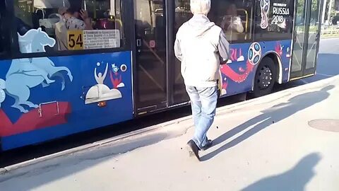 Автобус 54 спб