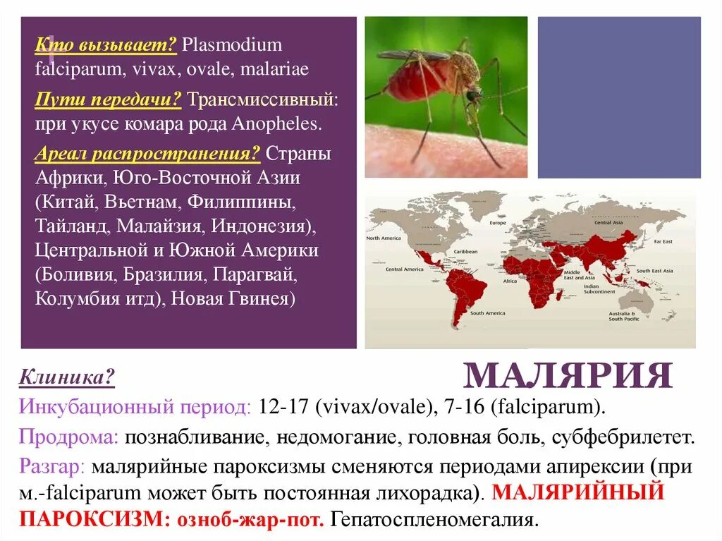 Малярия фальципарум ареал. Plasmodium (Plasmodium) Vivax инкубационный период. Инкубационный период при p.falciparum тропической малярии составляет. Малярия инкубационный период.