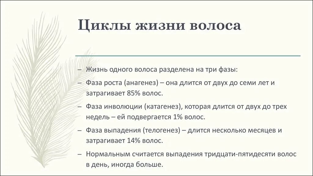 Цикл роста волос схема. Стадии жизненного цикла волоса. Строение волоса и фазы роста. Фазы жизненного цикла волоса.