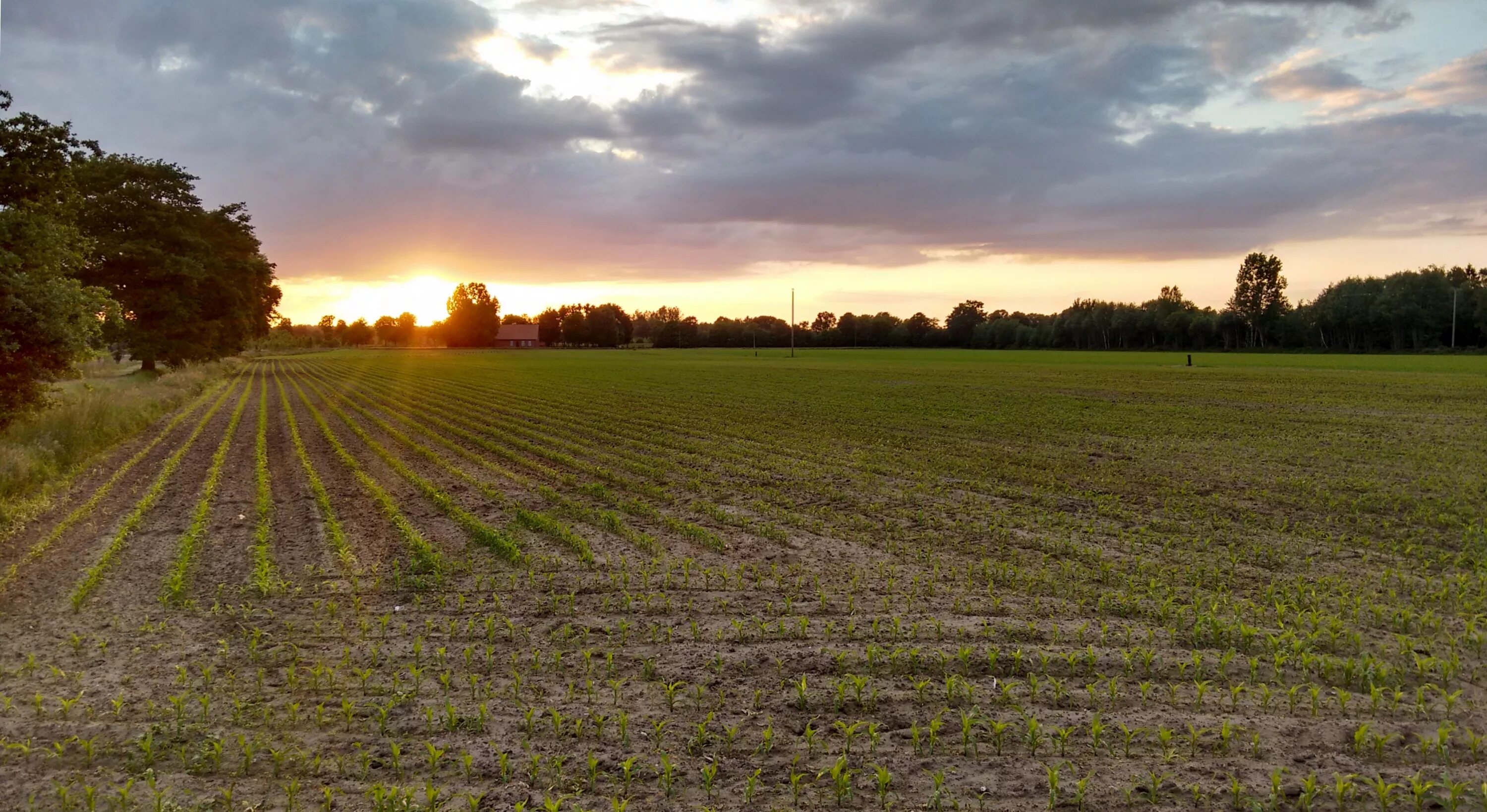 Я сегодня в поле чистом. В чистом поле.... Чистое поле вечер. Поле в тени. Ферма закат прерия.