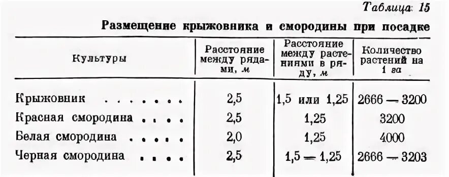 Крыжовник расстояние. Посадка смородины расстояние между кустами. Схема посадки смородины черной. Схема посадки крыжовника расстояние между кустами. Расстояние между кустами смородины.