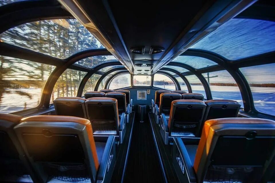 Get in the car train. Dome car. library car train.