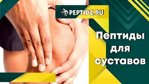 Пептиды для суставов и хрящевых тканей