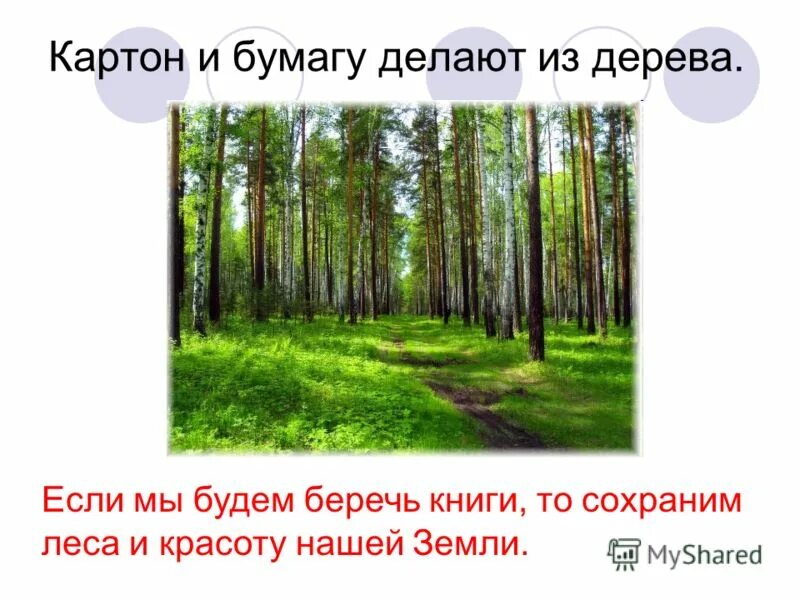 Текст как делают бумагу. Из древесины делают бумагу. Из чего делают бумагу. Как делают бумагу из дерева. Из чего делают книги.