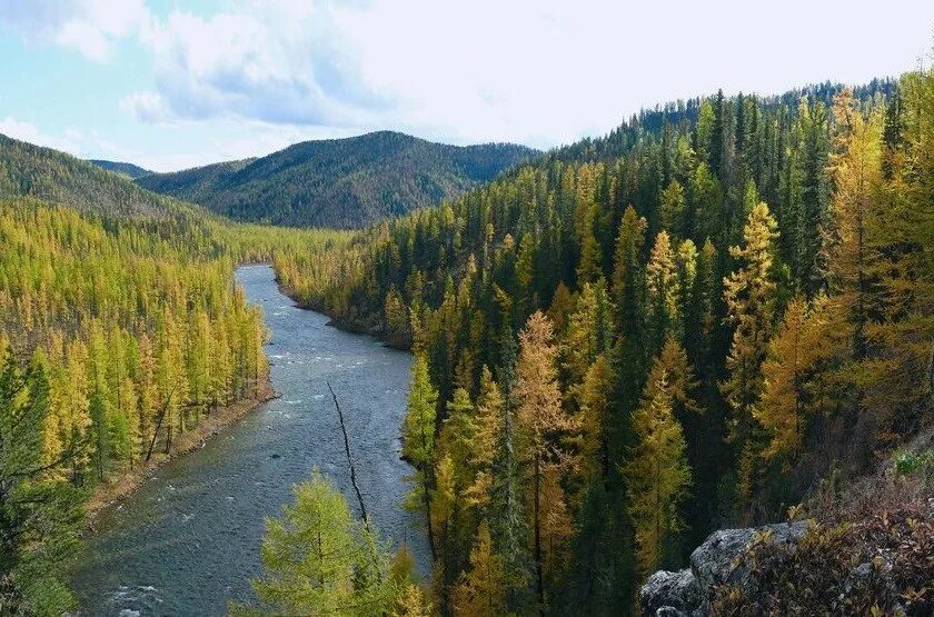 Малые реки красноярского края. Река Агул Красноярский. Река малый Агул. Красноярский край речка Агул. Агульское озеро Тофалария.