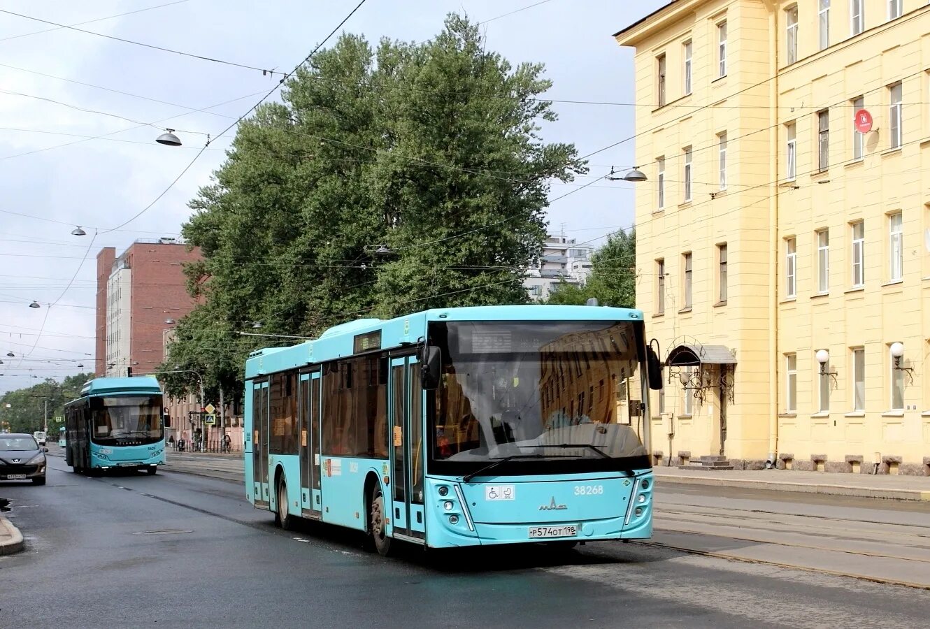 Автобус 249 спб. Маз 203. транспорт верхневолжья маз 203. автобус санкт-петербург. маз 2690 автобус.