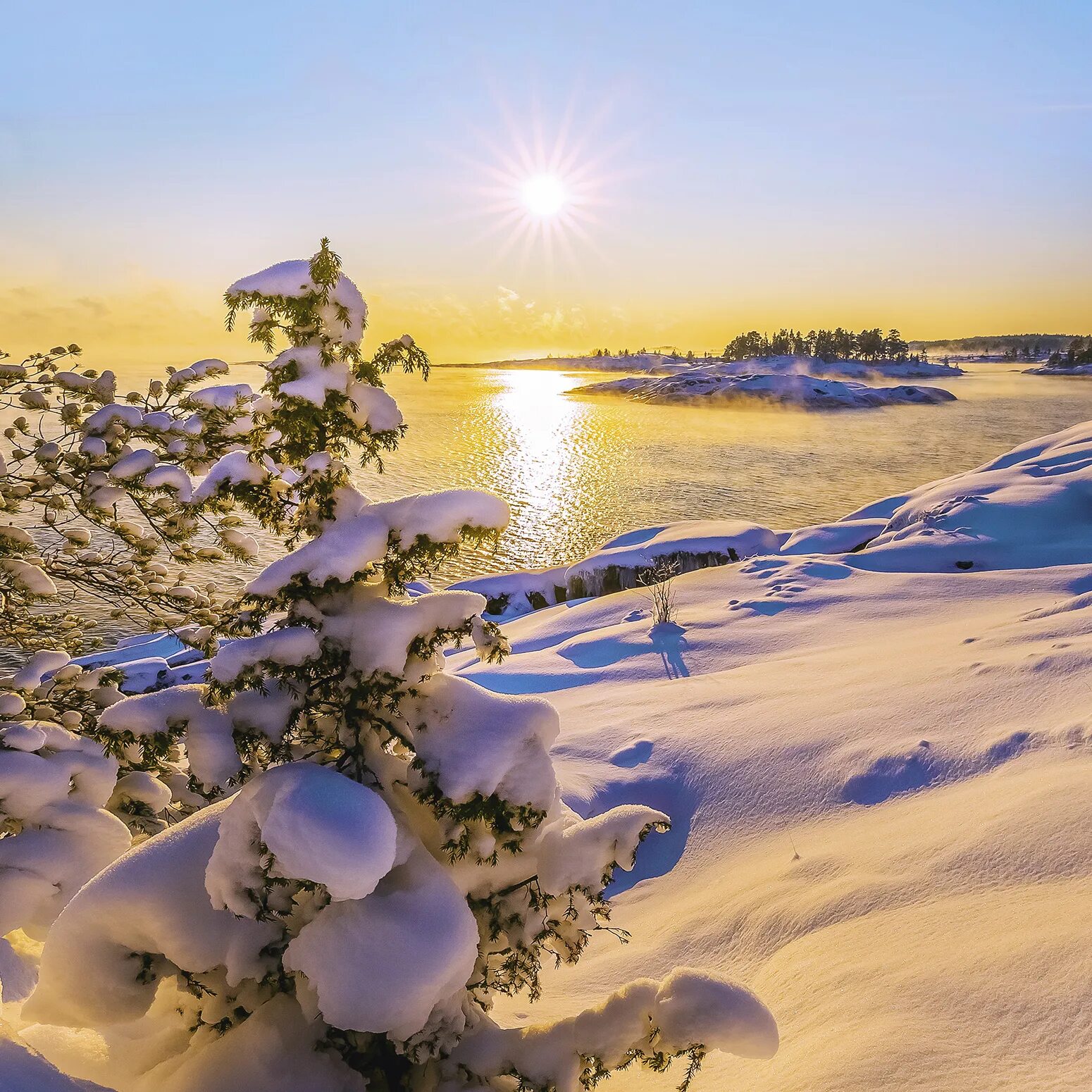 Красивого утра февраля. Солнечный зимний день. Зима солнце. Зимняя природа. Зимний рассвет.