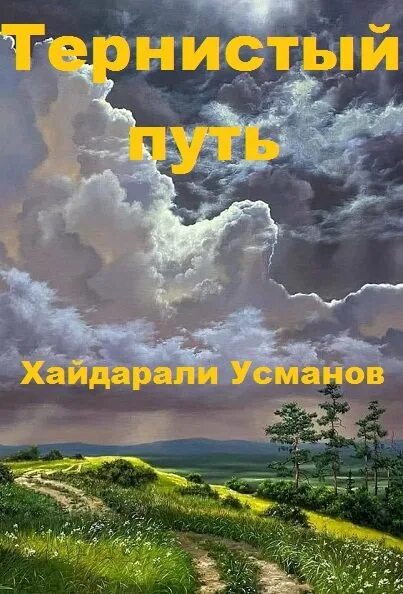 Усманов иное измерение 8 читать. Тернистый путь Хайдарали Усманов. Некрос Хайдарали Усманов. Тернистый путь Усманов книги. Хайдарали Усманов тени прошлого.