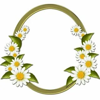 Рамка ромашки