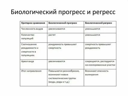 Характеристика направлений развития