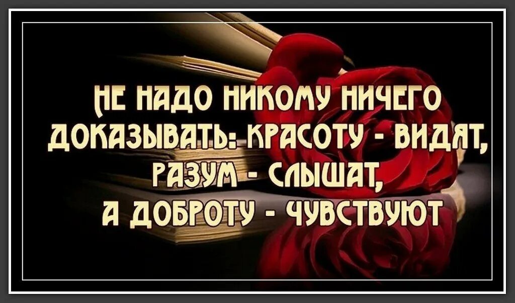 Никогда никому не доказывай. Душевные переживания выматывают человека больше. Не надо ничего доказывать красоту. Ничего не доказывай. Чувства добра.