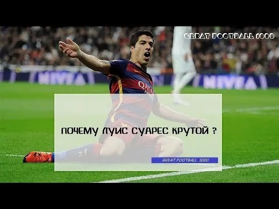Почему луис. Почему луис