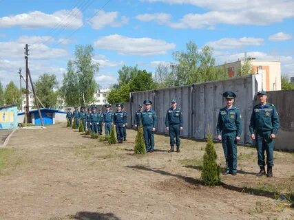 Доска хойники