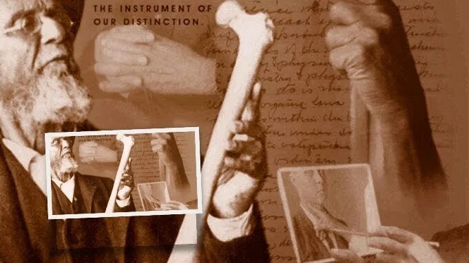 Э т стилл остеопатия. Стилл основатель остеопатии. Тейлор стилл остеопатия. Эндрю тейлор стилл остеопатия. Тейлор стилл остеопатия.