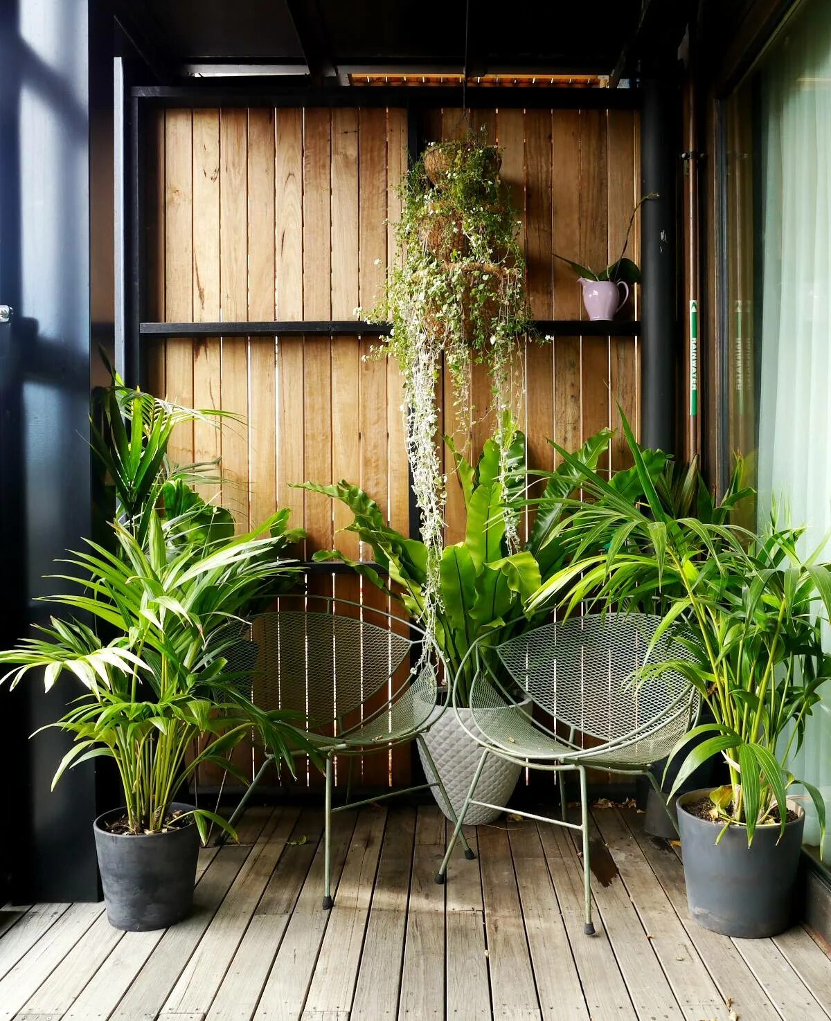 Тенелюбивое растение для зимнего сада. Комнатные цветы на балконе. Цветочный уголок в квартире. Комната с растениями.