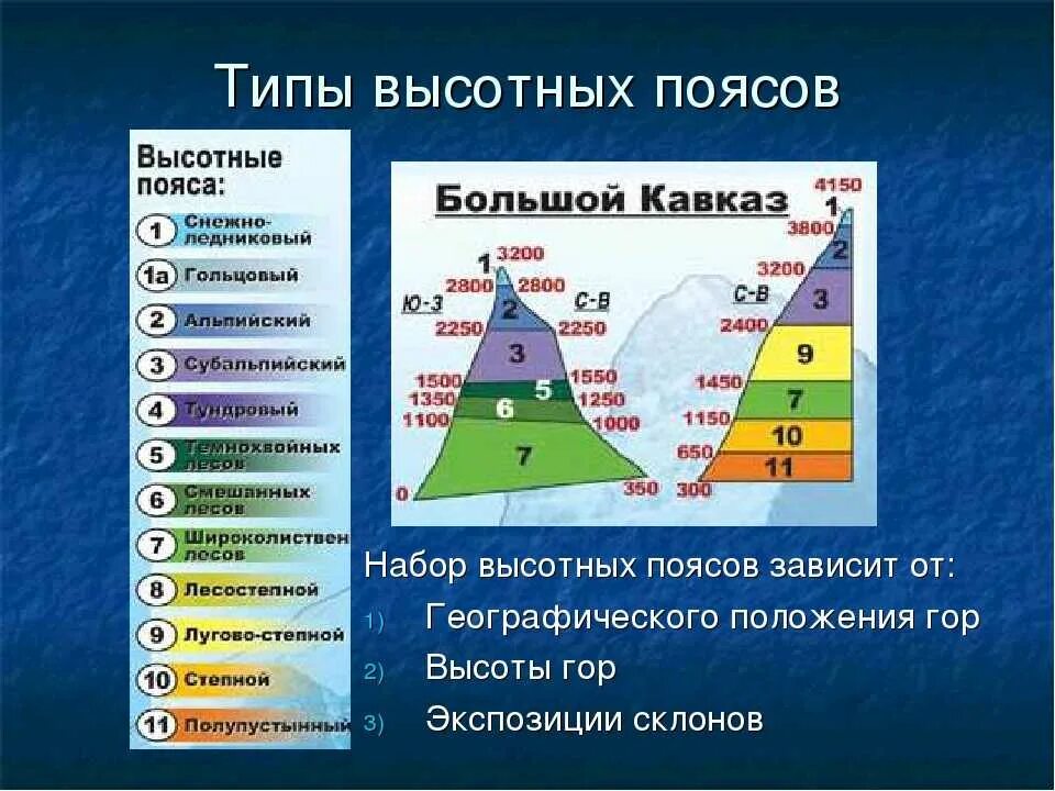 Количество высотных поясов кавказа