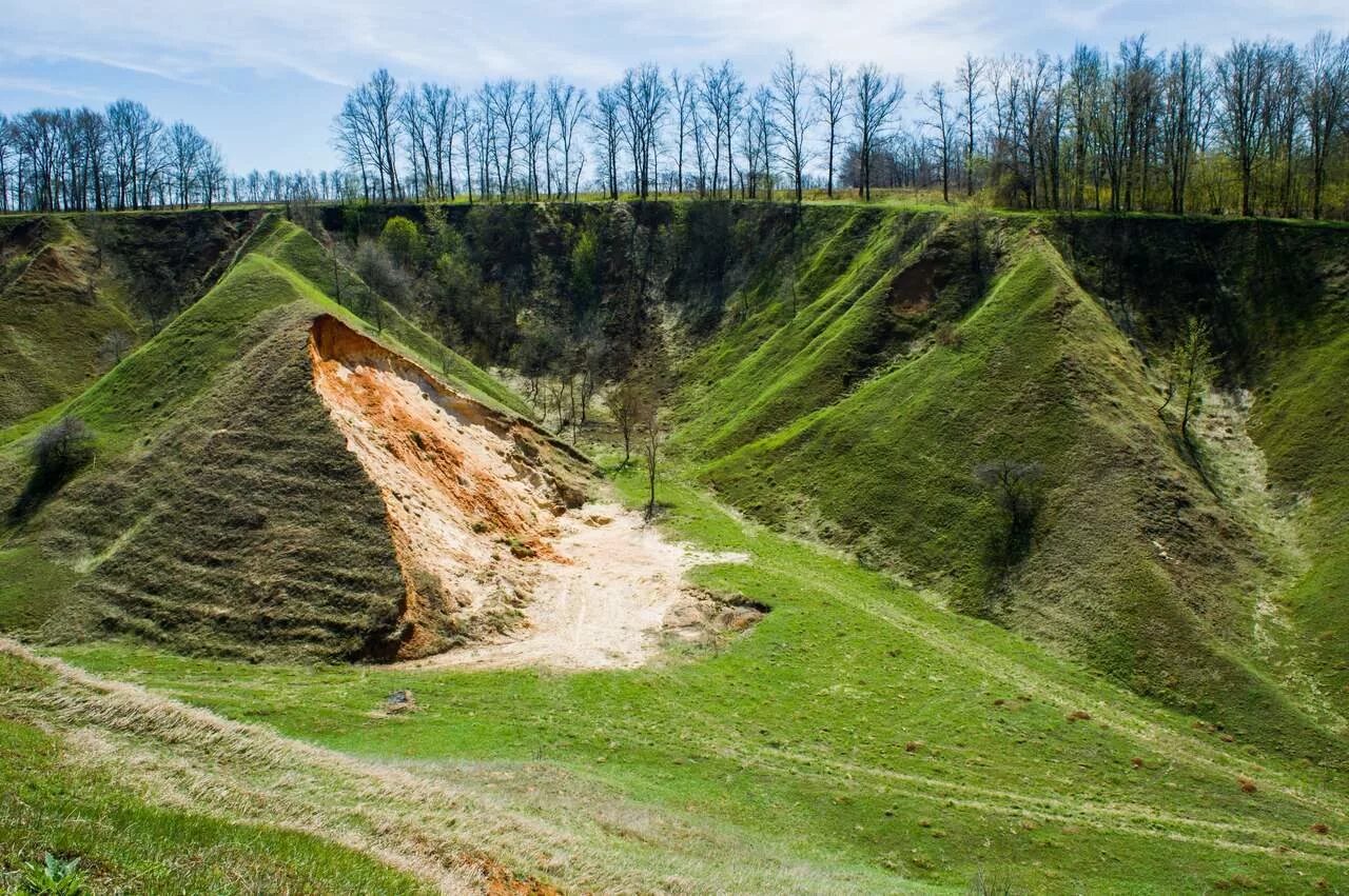 Урочище это ландшафт. Урочище это что такое простыми словами. Урочище это что такое простыми словами. Урочище ландшафтоведение. Урочище это что такое простыми словами.