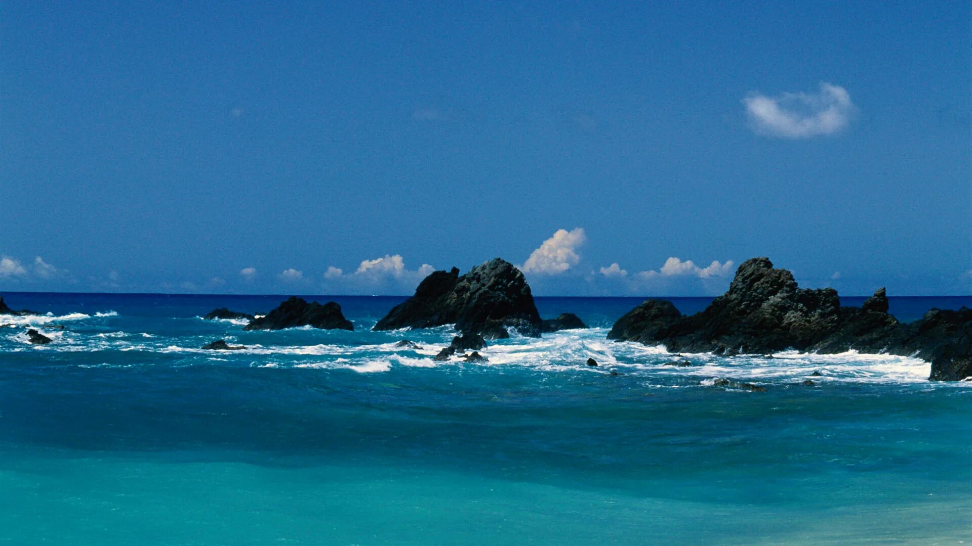 Beach full