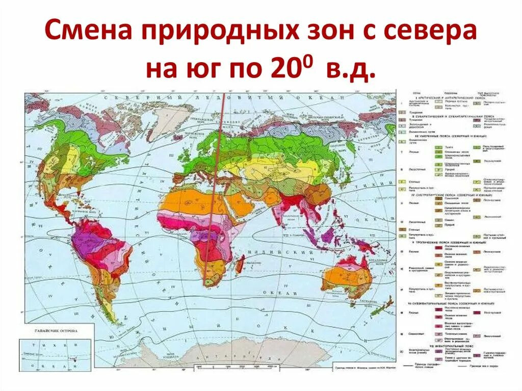 Последовательность природных зон с севера на юг