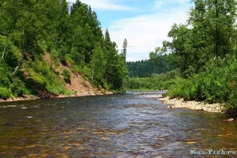 Река нижняя рыбалка