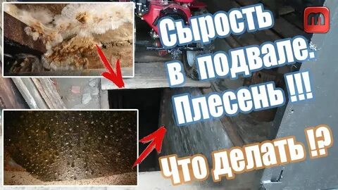 Градус подвал