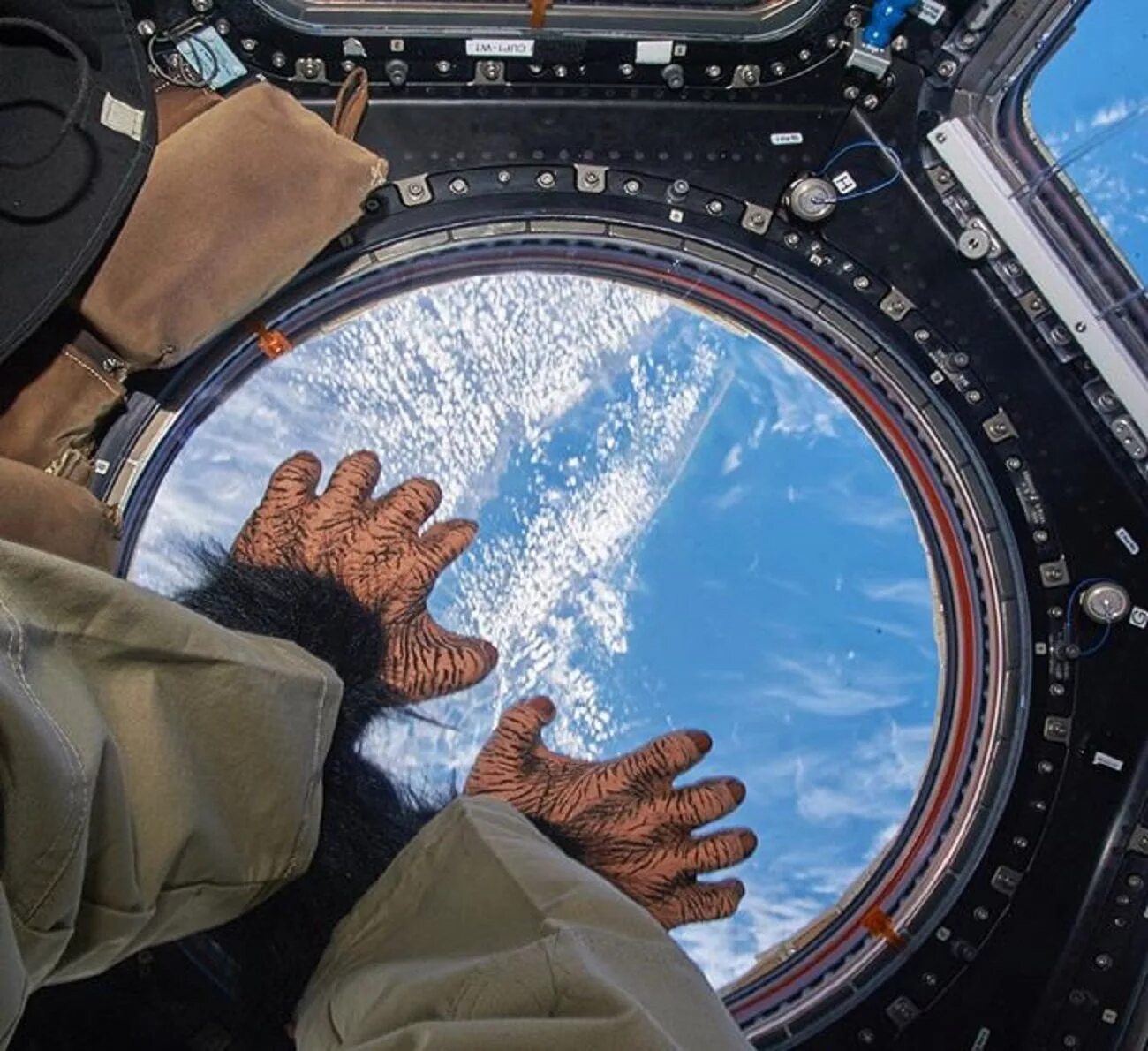 Земля в иллюминаторе картинки. Космонавт МКС иллюминатор. Иллюминатор космического корабля МКС. Вид из иллюминатора космического корабля. Вид из иллюминатора в космосе.