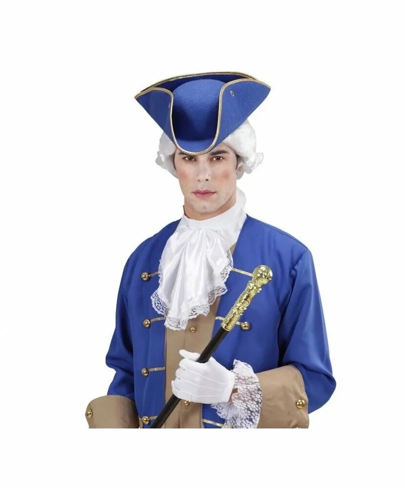 Стражники у ворот замка. Ливрея для лакея. Мажордом дворецкий. Лакей. Лакей это кто.