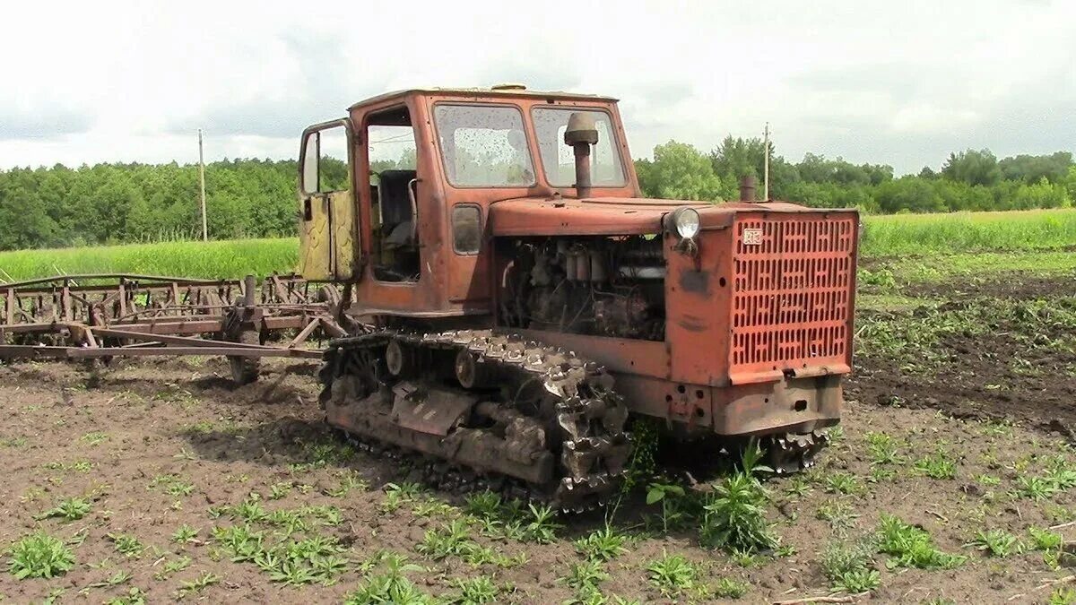 Трактора т в работе. Т-4 трактор. Трактор Алтай т4. Трактор гусеничный т-4а. Гусеничный трактор алтаец т 4.