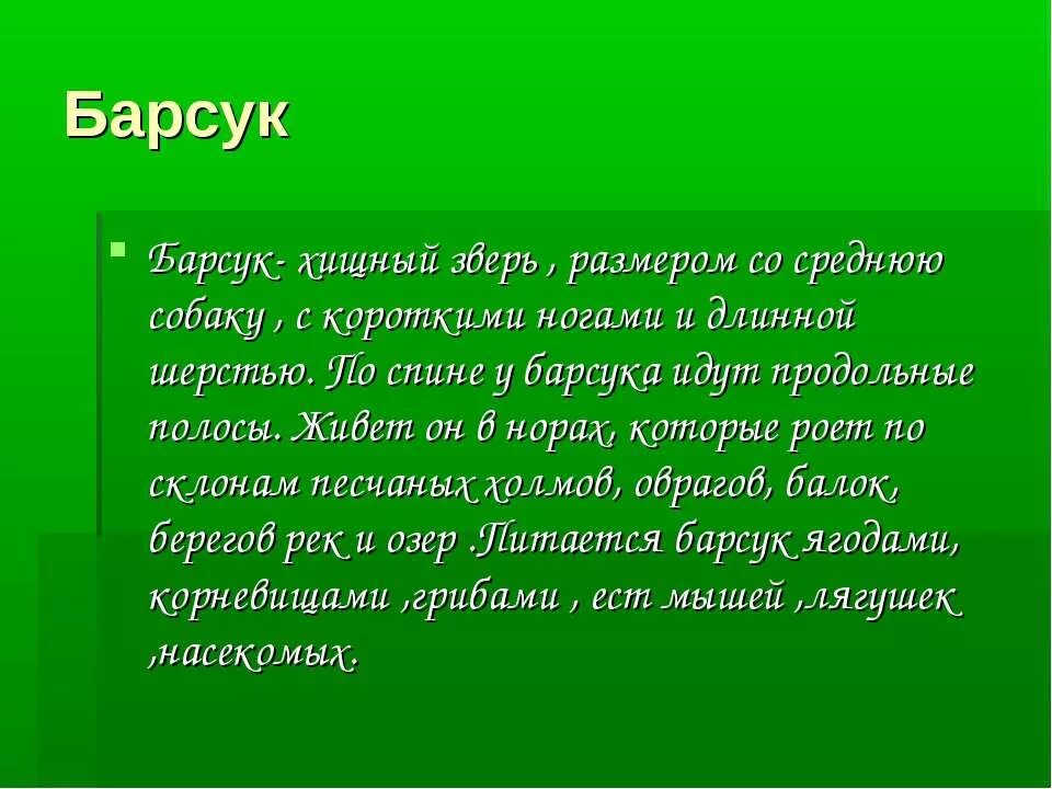 Барсук доклад. Сообщение о Барсуке. Изложение барсук 2 класс. План к рассказу Барсучонок. Паустовский барсучий нос 3 класс презентация