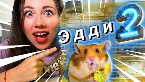 Элли ди дом 2