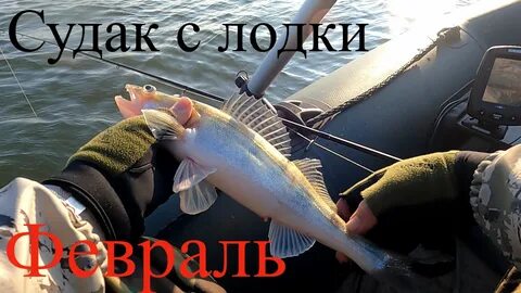 Судака ответы