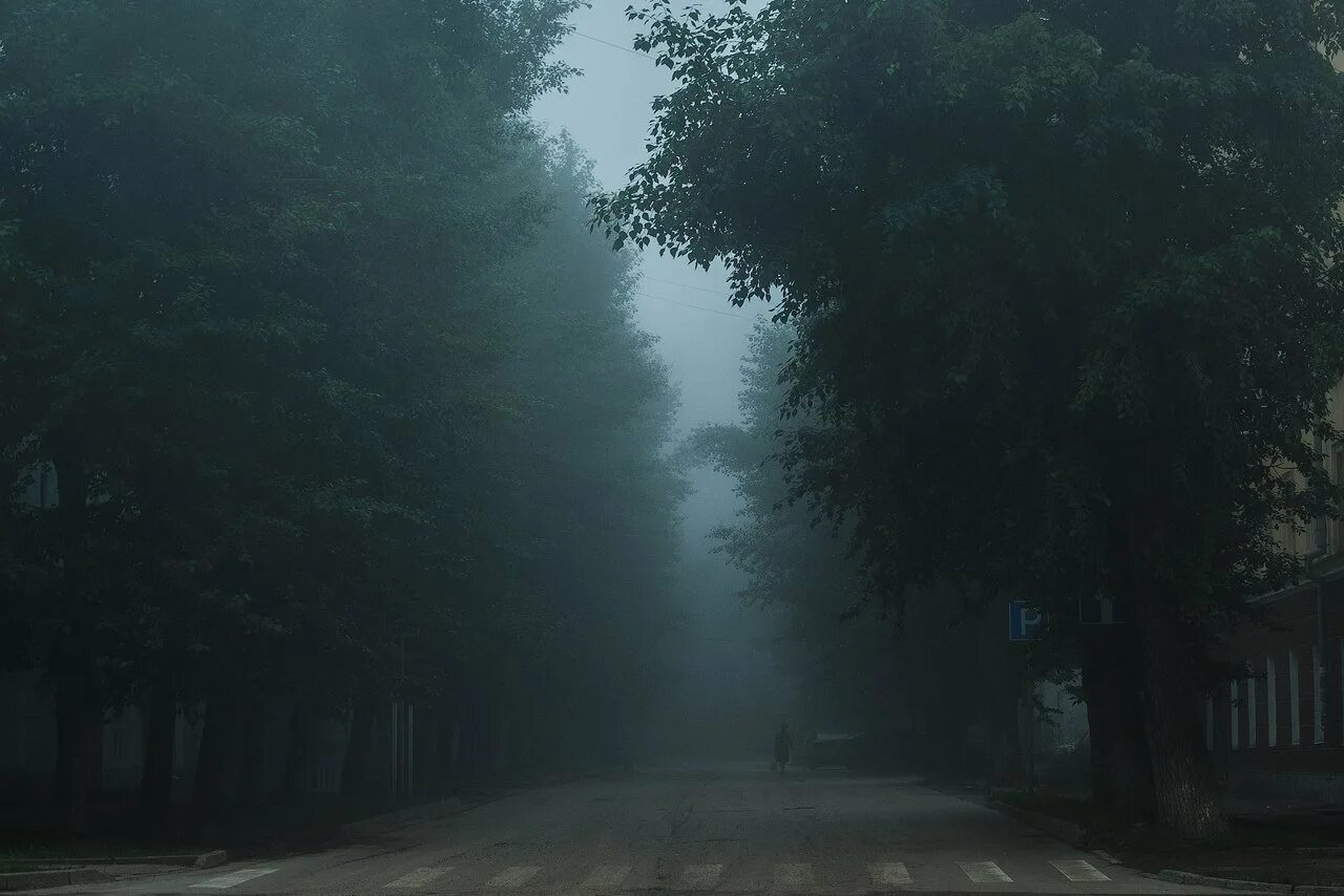 Город в тумане. Красивый туман в городе. Улица в тумане. Туман дорога город. Смутный город.