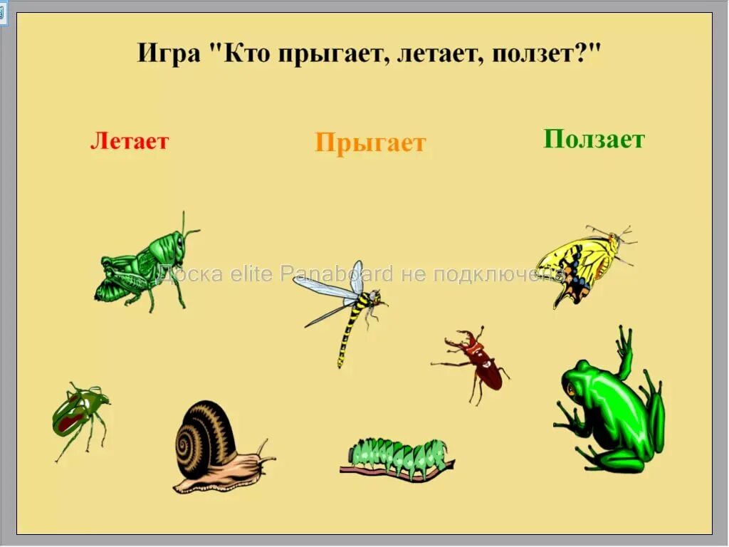 Летает ползает плавает
