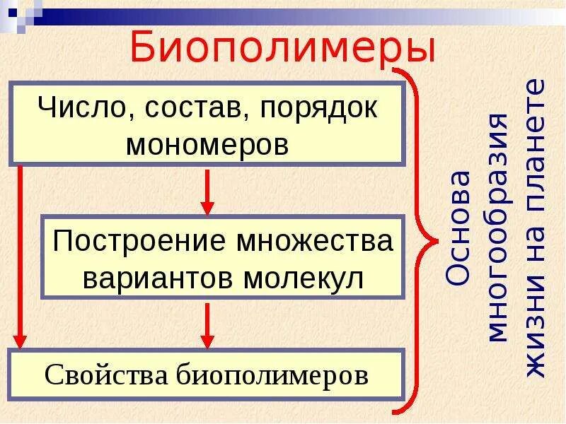 Биополимеры липидов. Свойства биополимеров. Липиды это биополимеры. Свойства биополимеров зависят от. Основные физико-химические свойства биополимеров.