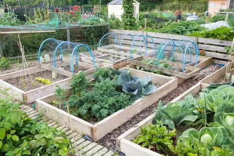Фото красивых огородов своими руками