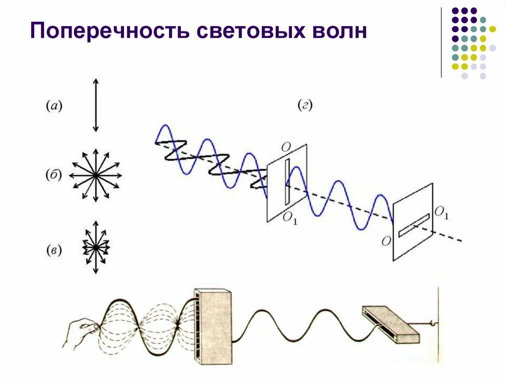 Поляризация рисунок. Поляризация волн физика 11 класс. Поперечность световых волн поляризация света. Поперечность световых волн поляризация света 11 класс физика. Поперечность электромагнитных волн схема.